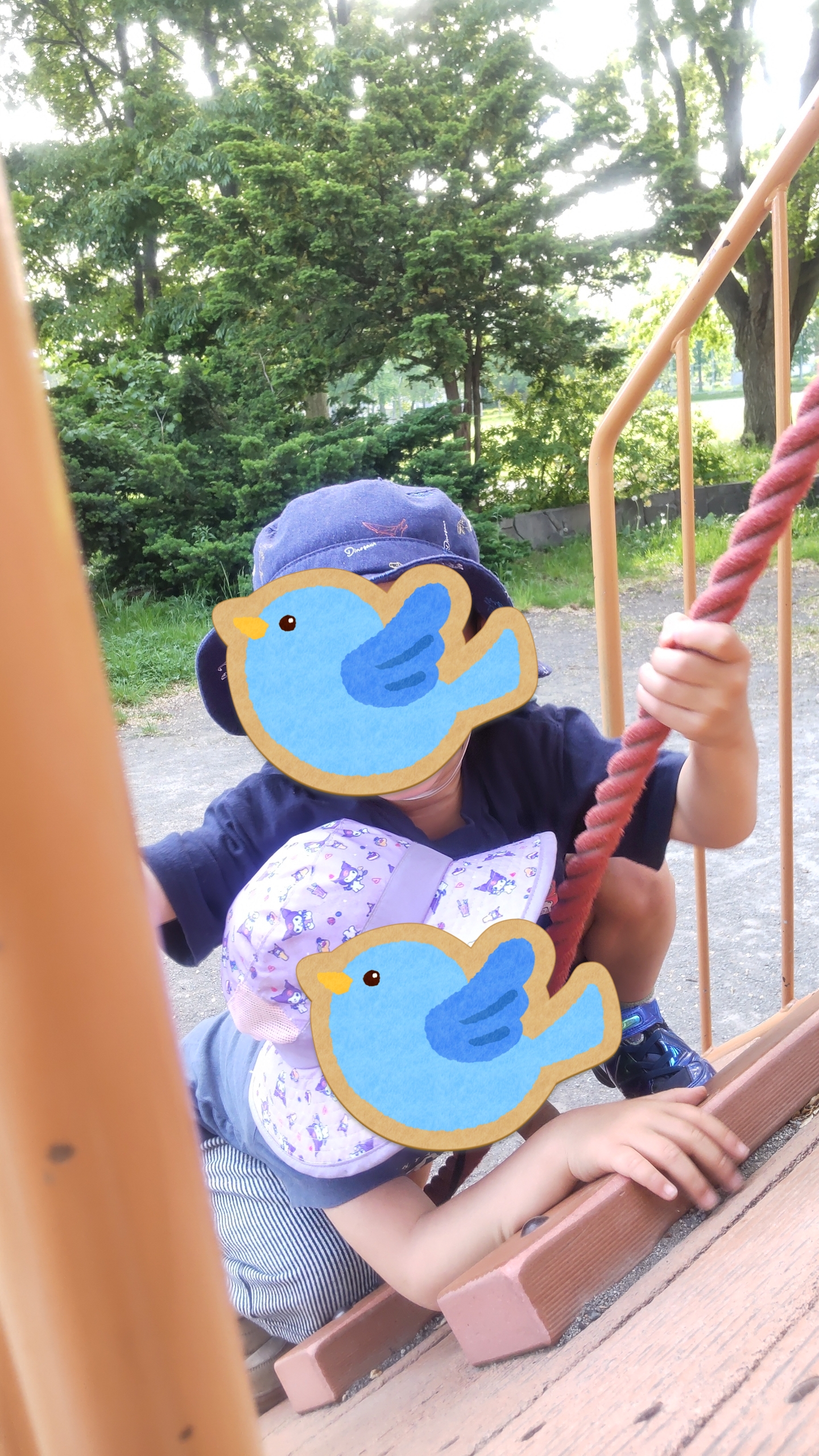 関連画像