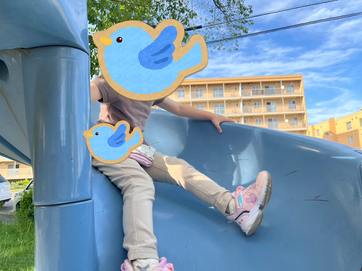 関連画像