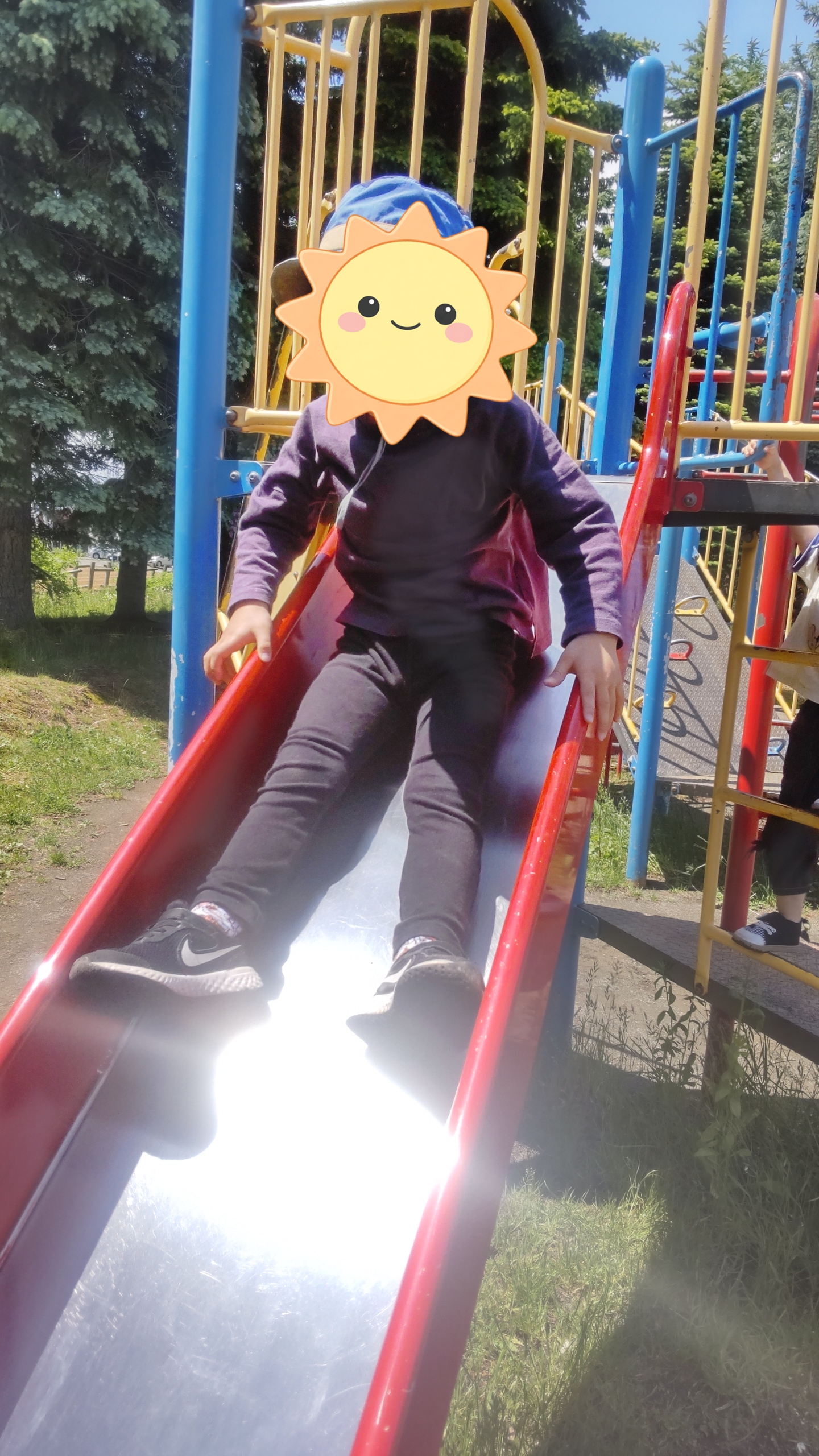 関連画像