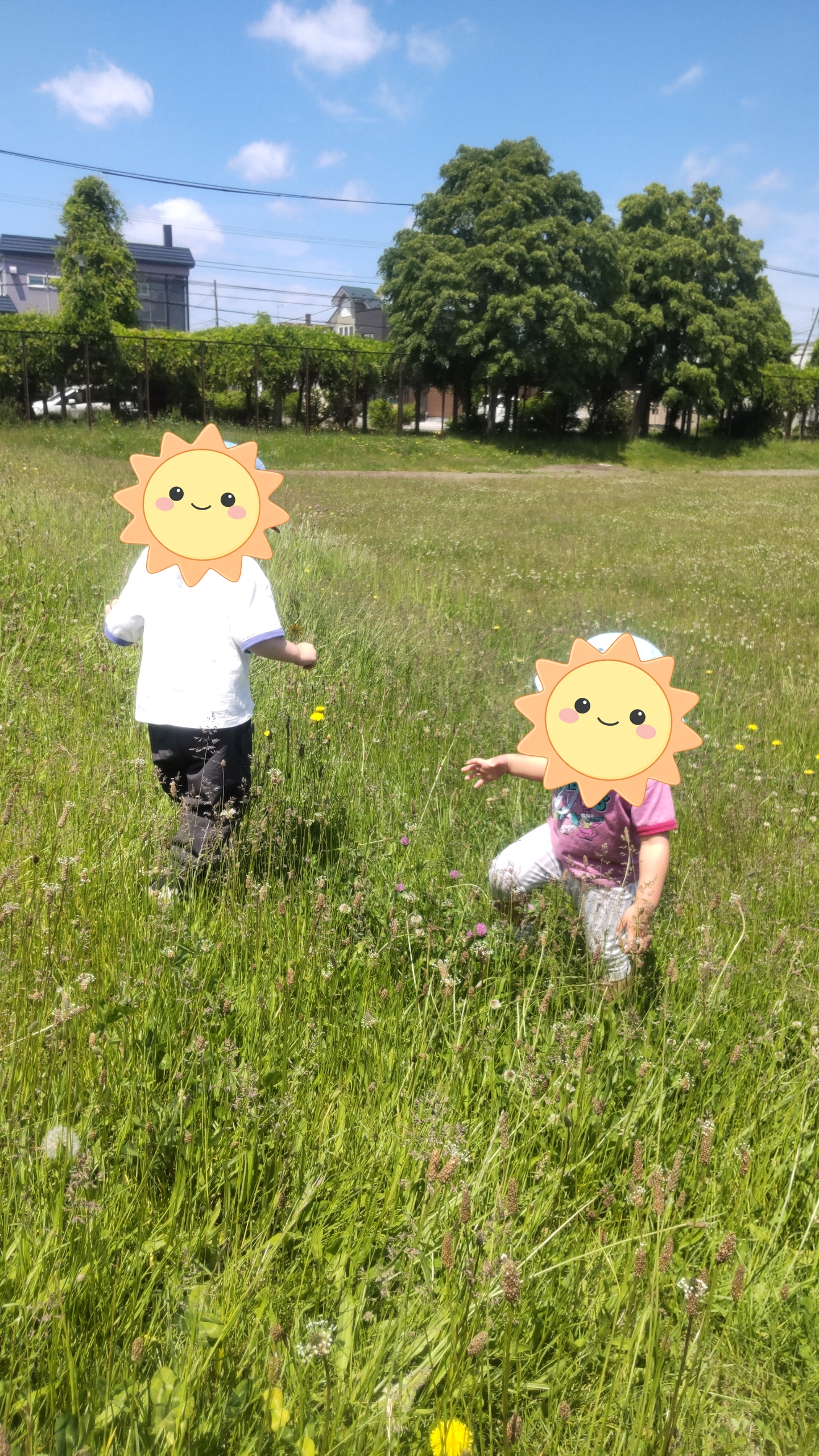 関連画像
